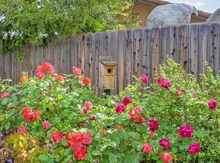 376 Rundgren Way, Folsom, CA 95630 Photo