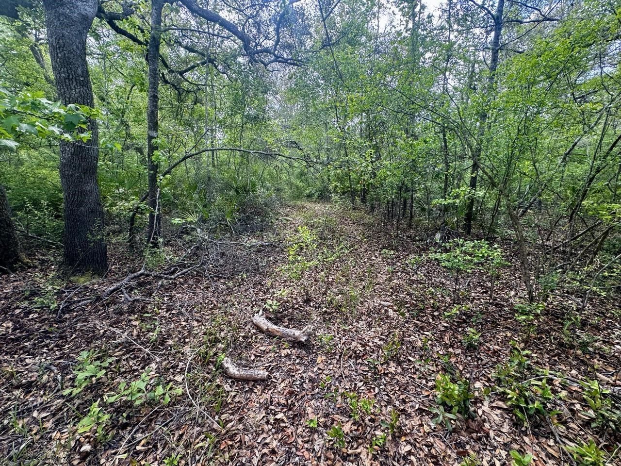 3084 NE Chervil Drive , Lee, FL 32059 Photo