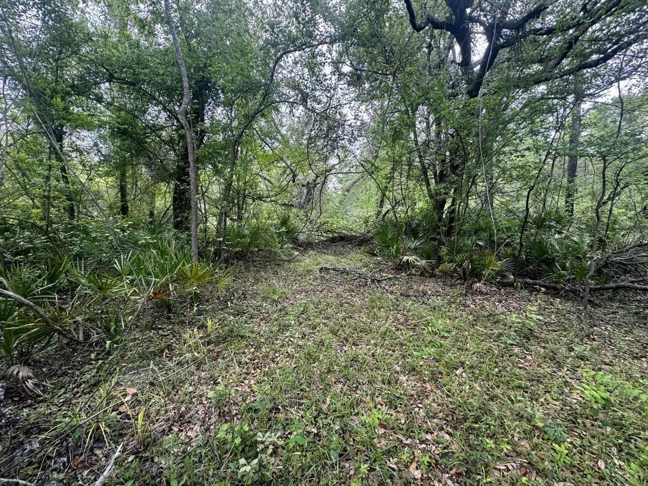 3084 NE Chervil Drive , Lee, FL 32059 Photo