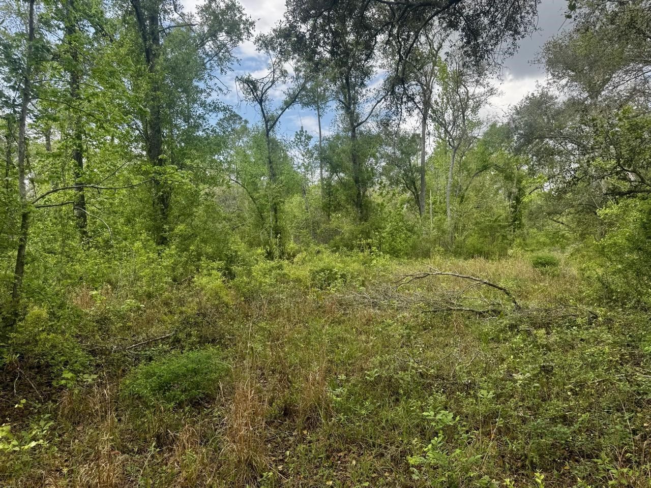 3084 NE Chervil Drive , Lee, FL 32059 Photo