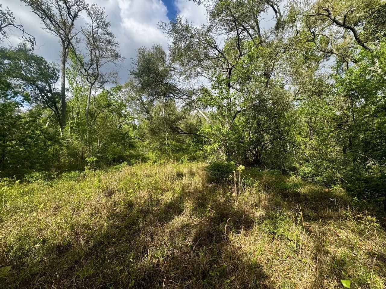 3084 NE Chervil Drive , Lee, FL 32059 Photo