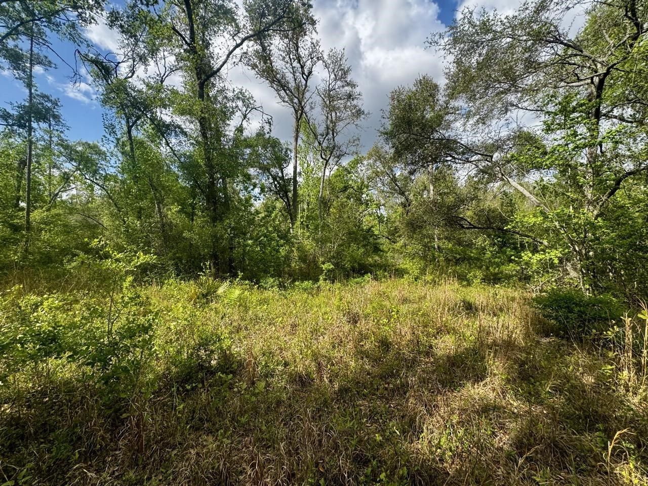 3084 NE Chervil Drive , Lee, FL 32059 Photo