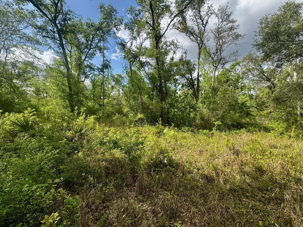 3084 NE Chervil Drive , Lee, FL 32059 Photo