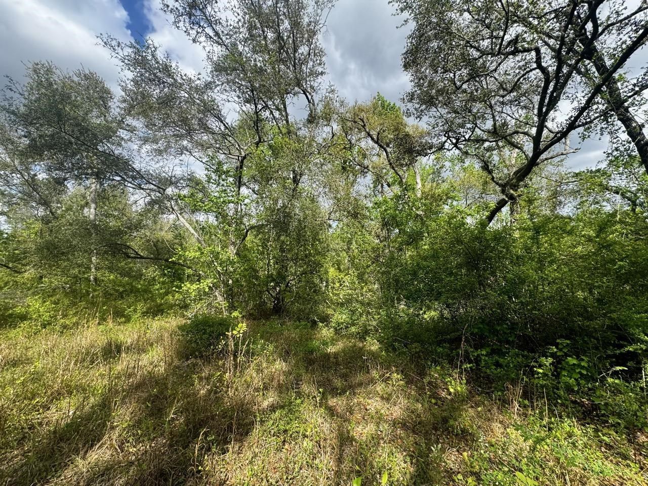 3084 NE Chervil Drive , Lee, FL 32059 Photo