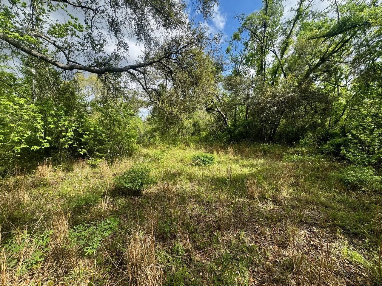 3084 NE Chervil Drive , Lee, FL 32059 Photo