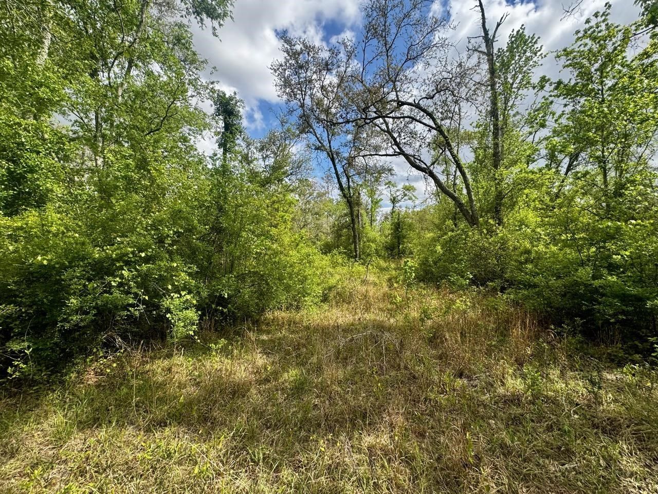 3084 NE Chervil Drive , Lee, FL 32059 Photo