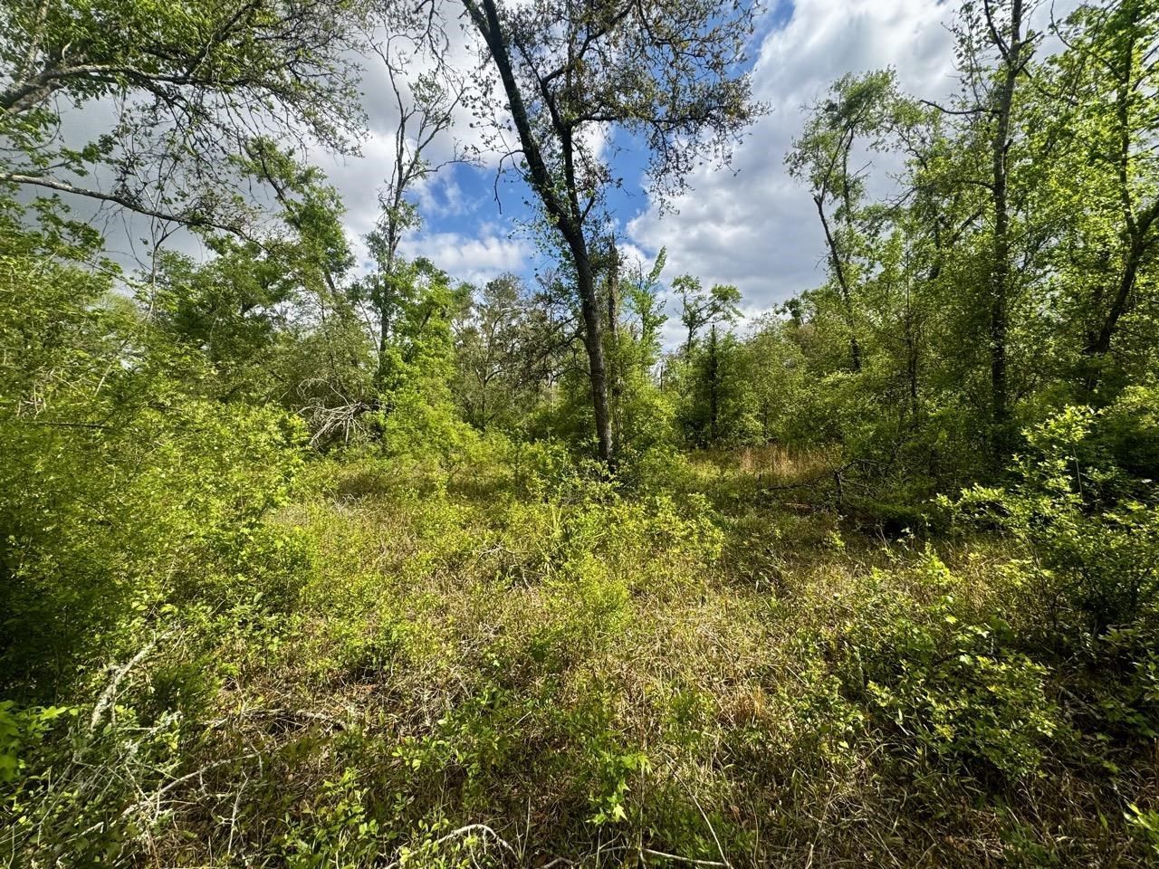 3084 NE Chervil Drive , Lee, FL 32059 Photo