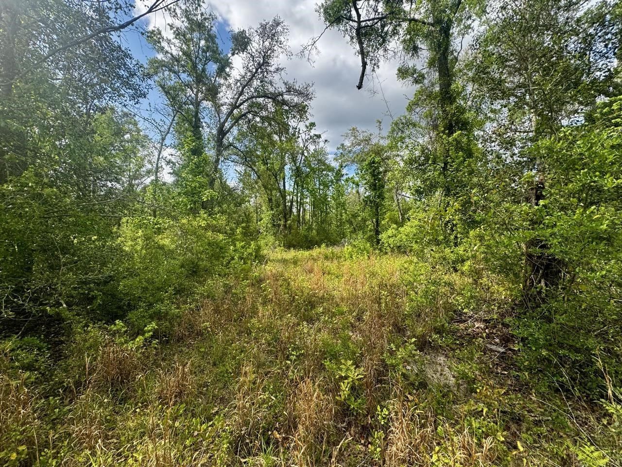 3084 NE Chervil Drive , Lee, FL 32059 Photo