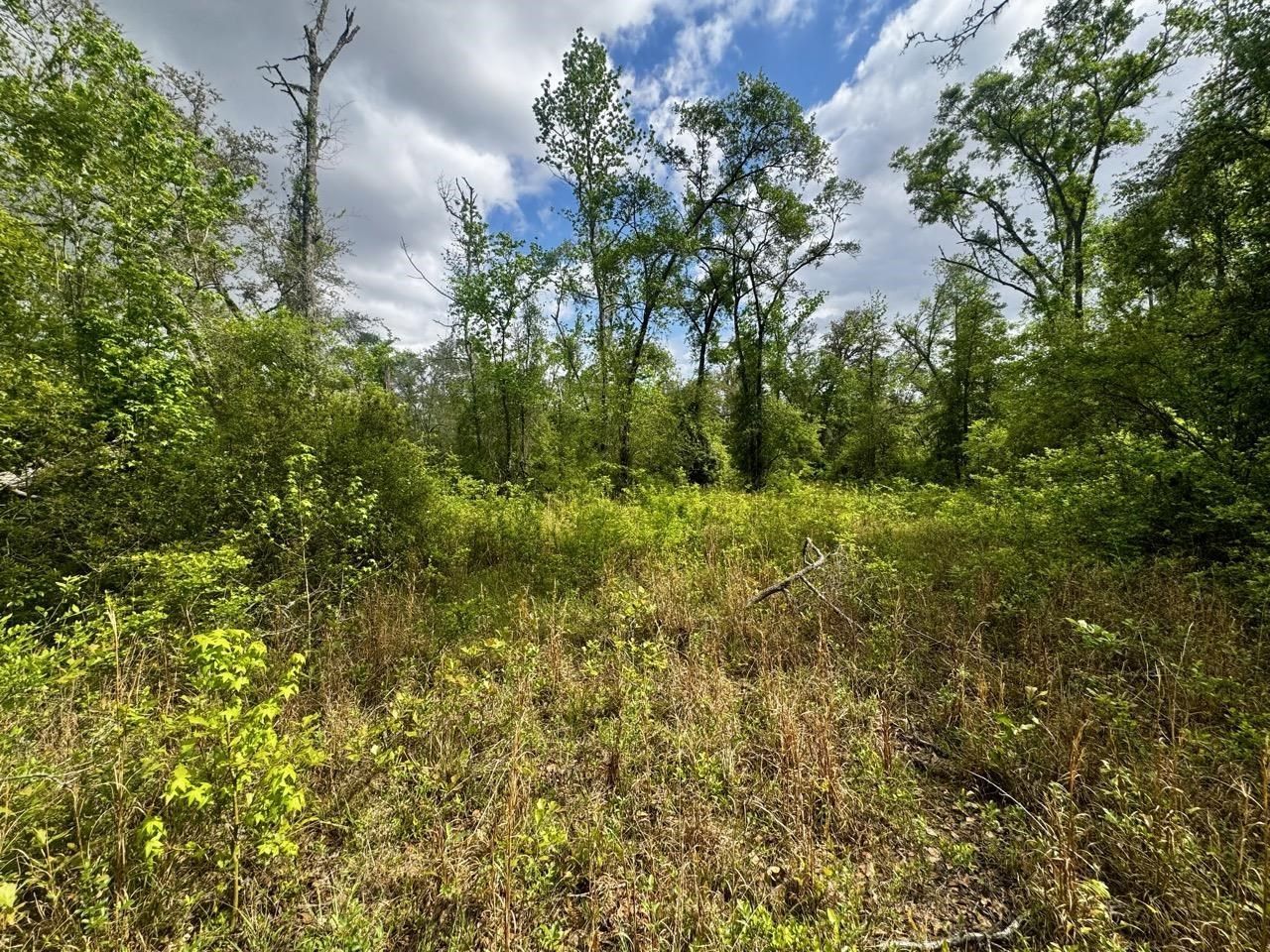 3084 NE Chervil Drive , Lee, FL 32059 Photo