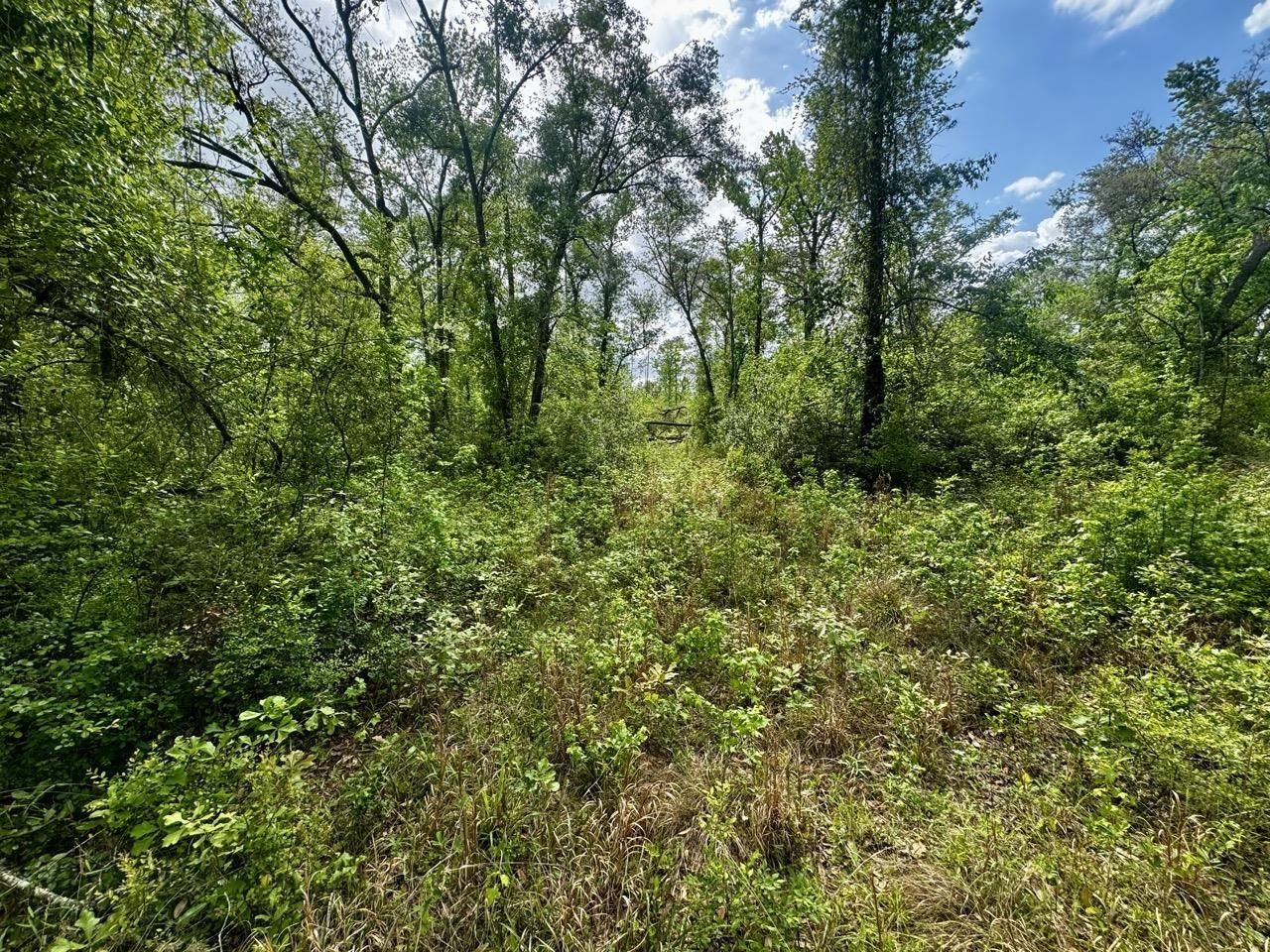 3084 NE Chervil Drive , Lee, FL 32059 Photo