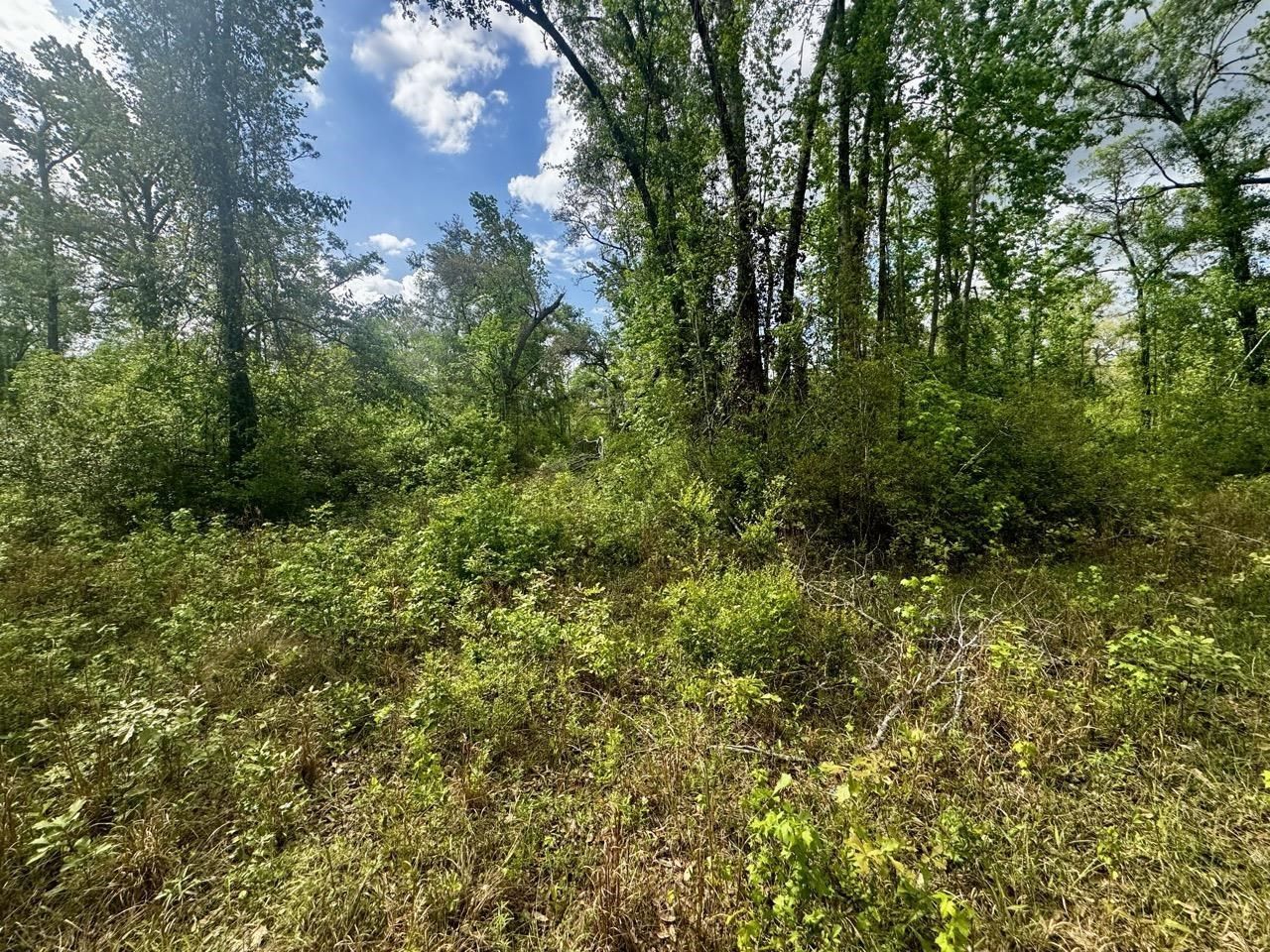 3084 NE Chervil Drive , Lee, FL 32059 Photo