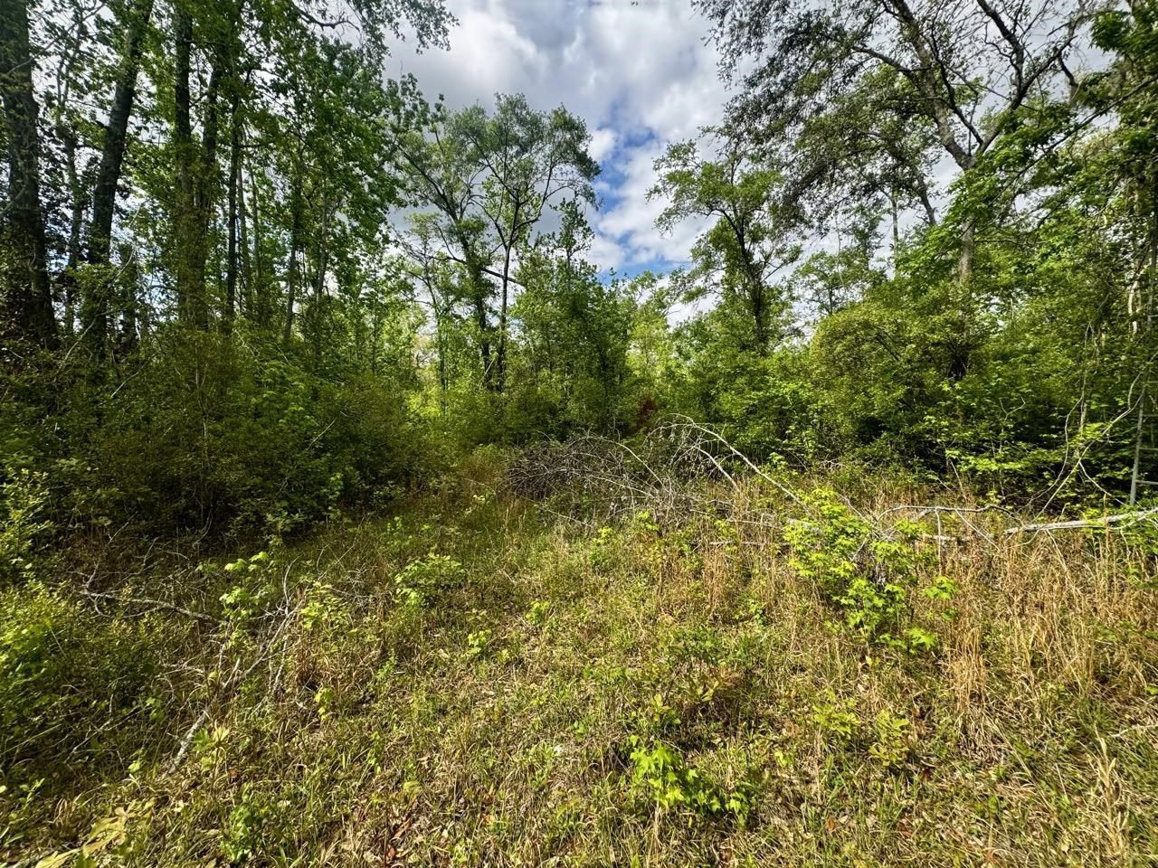 3084 NE Chervil Drive , Lee, FL 32059 Photo