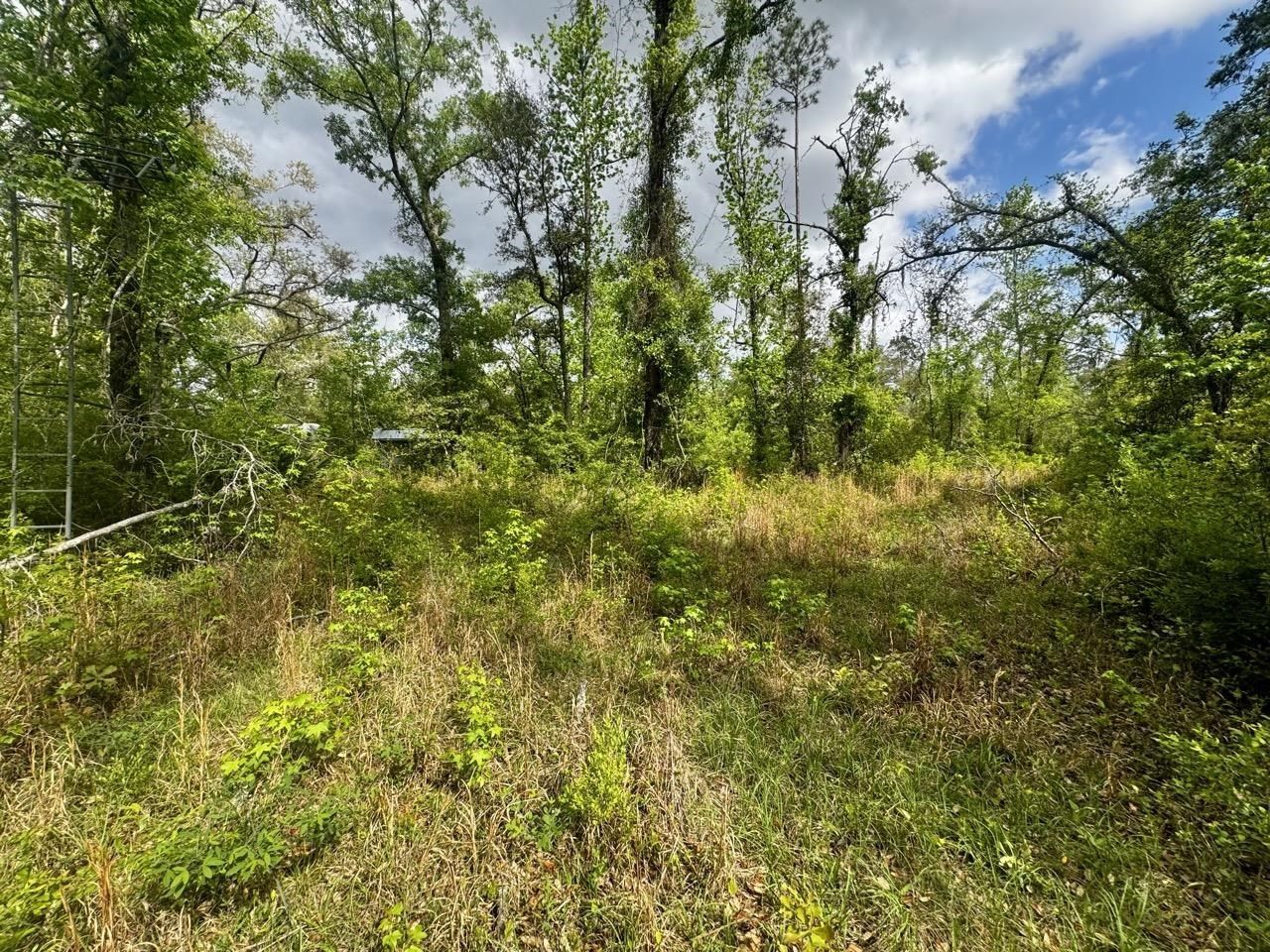 3084 NE Chervil Drive , Lee, FL 32059 Photo