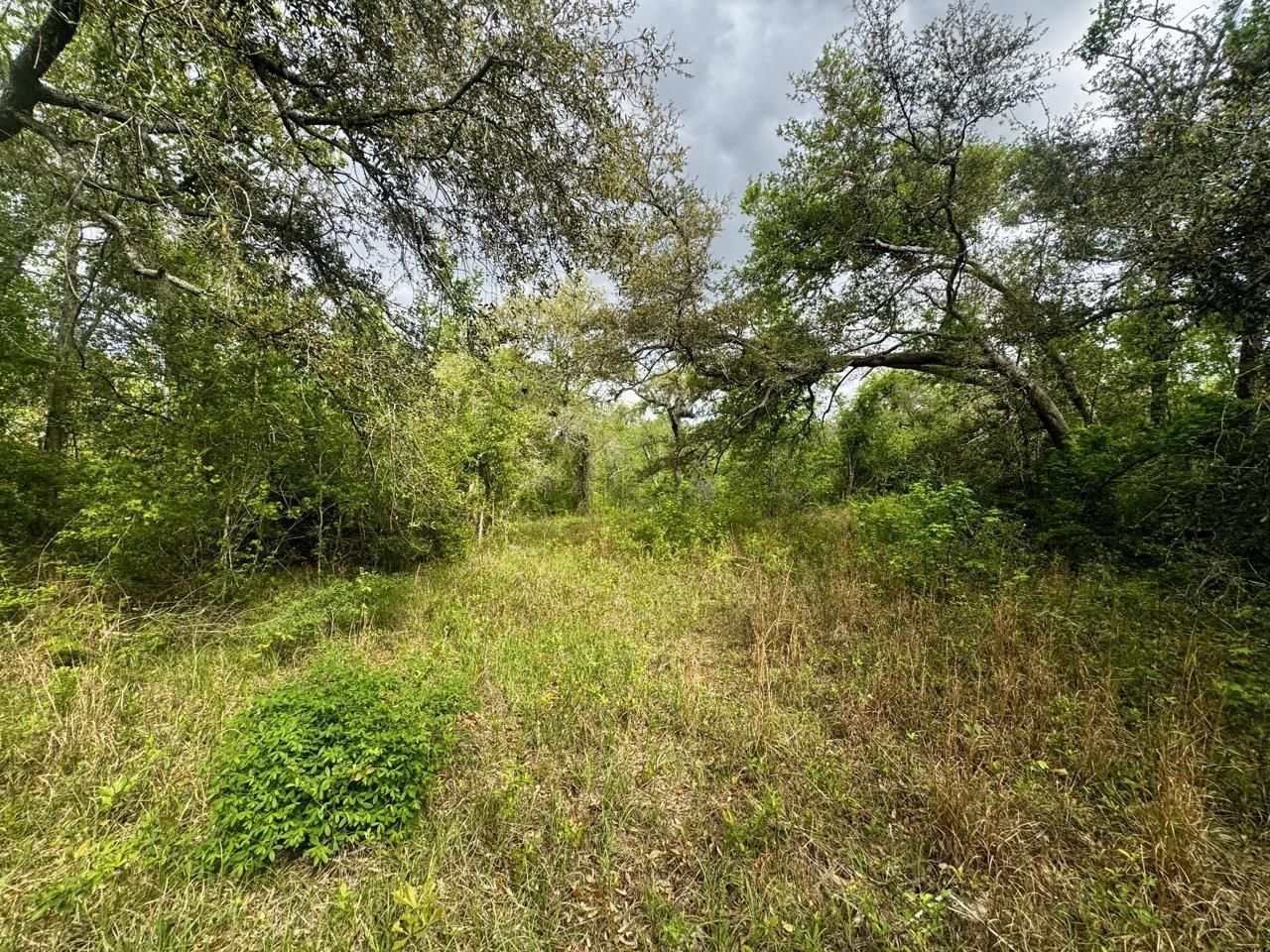 3084 NE Chervil Drive , Lee, FL 32059 Photo