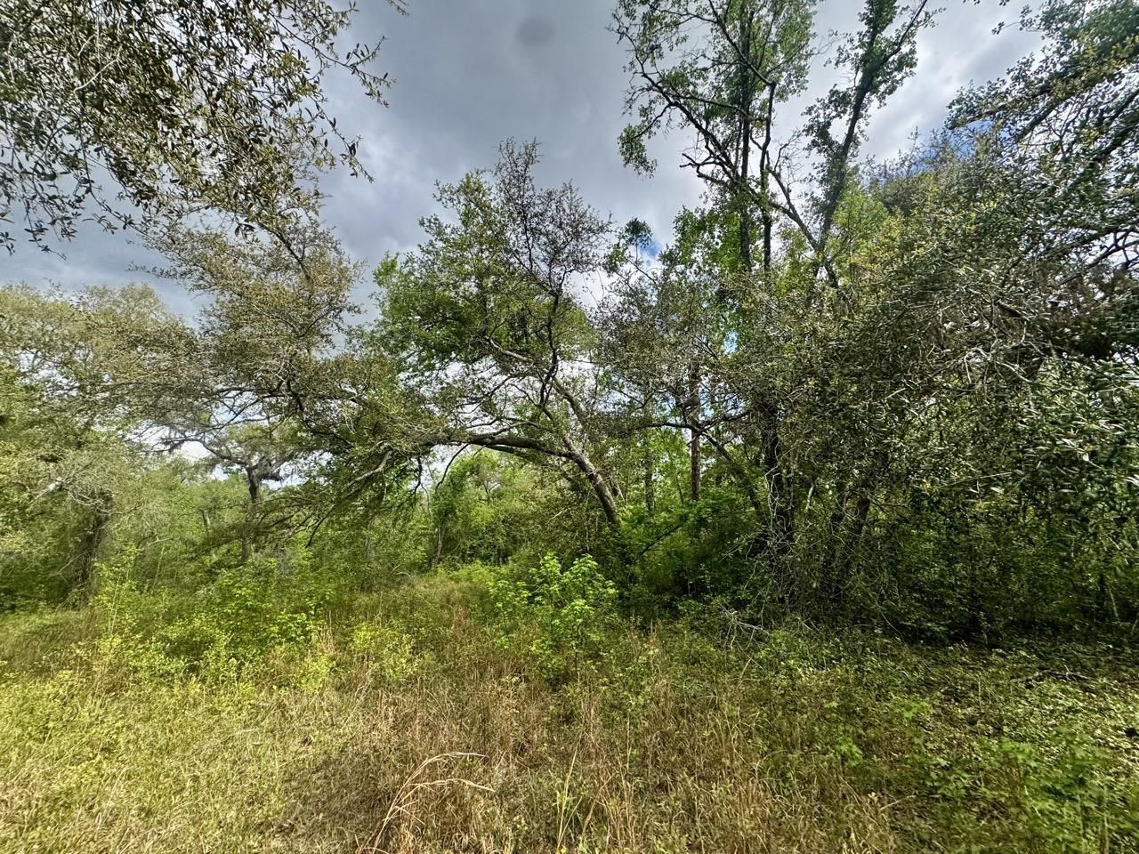 3084 NE Chervil Drive , Lee, FL 32059 Photo