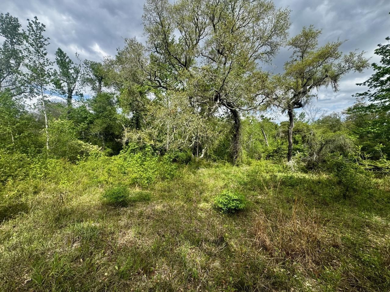 3084 NE Chervil Drive , Lee, FL 32059 Photo