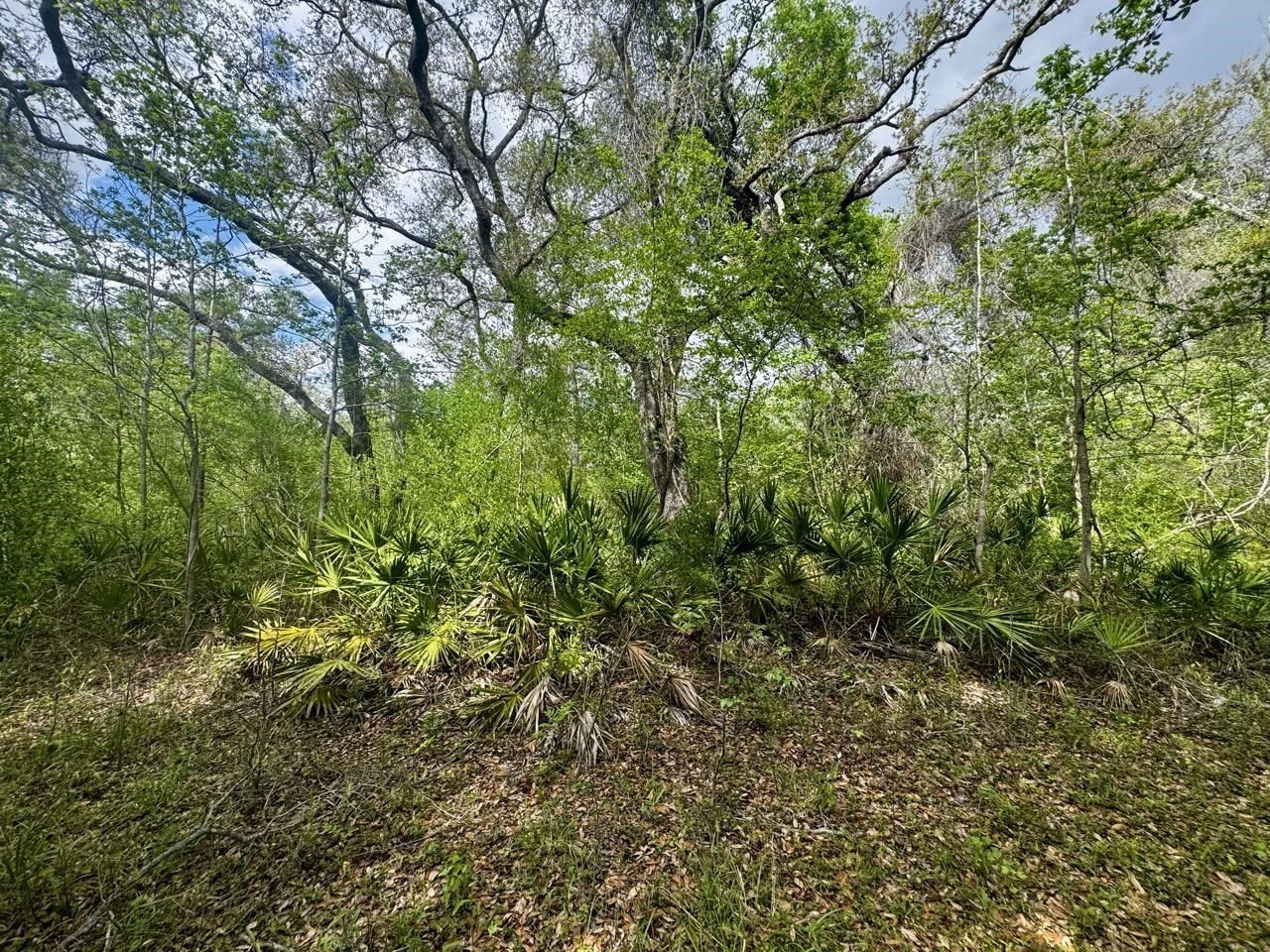 3084 NE Chervil Drive , Lee, FL 32059 Photo