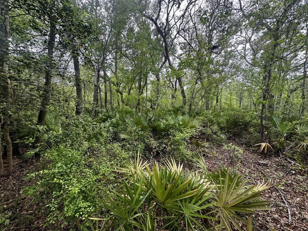 3084 NE Chervil Drive , Lee, FL 32059 Photo