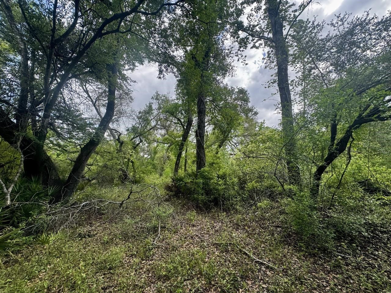 3084 NE Chervil Drive , Lee, FL 32059 Photo