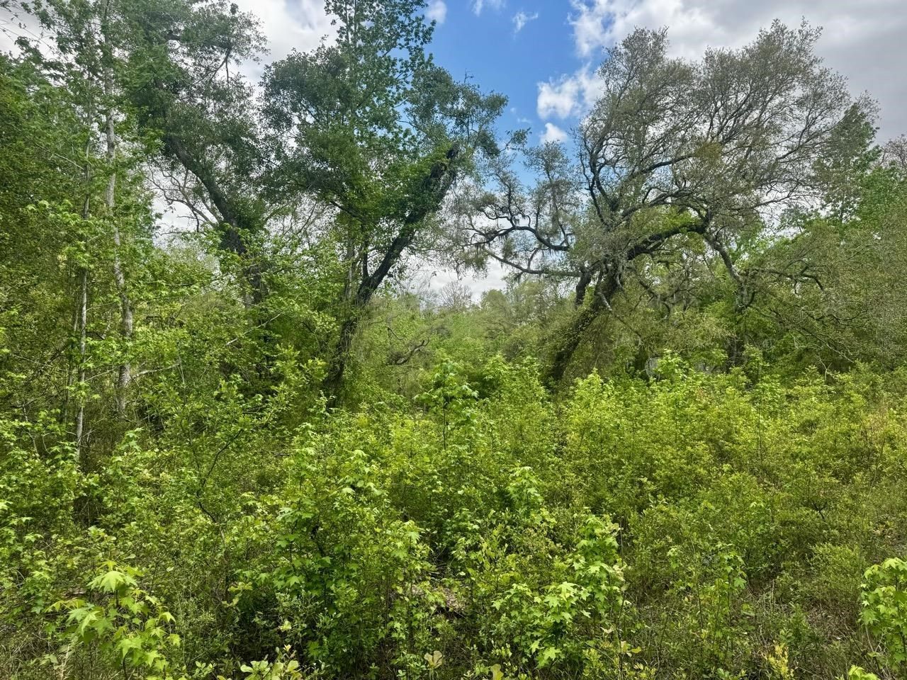 3084 NE Chervil Drive , Lee, FL 32059 Photo