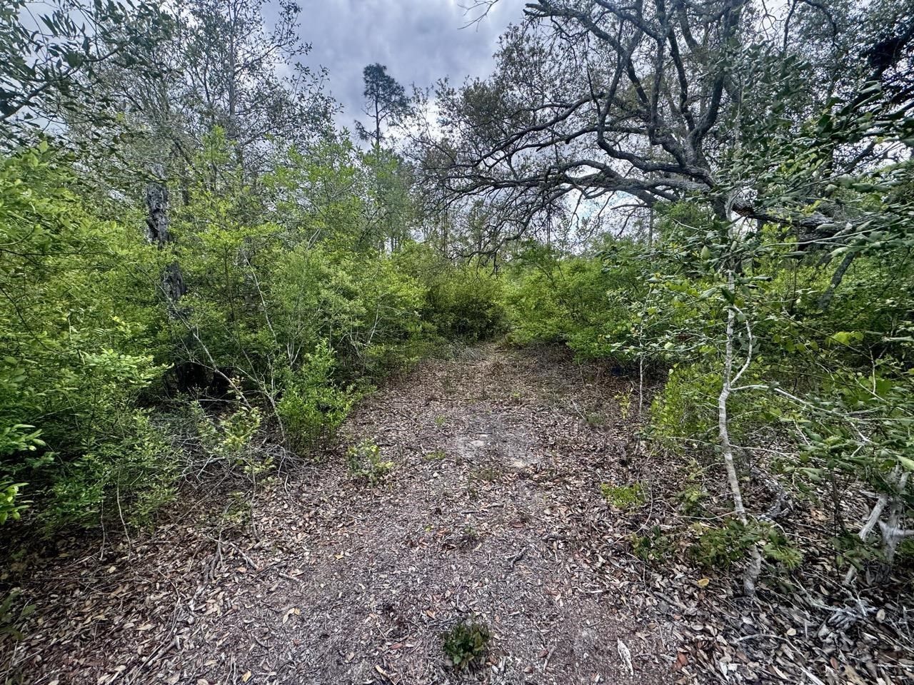 3084 NE Chervil Drive , Lee, FL 32059 Photo