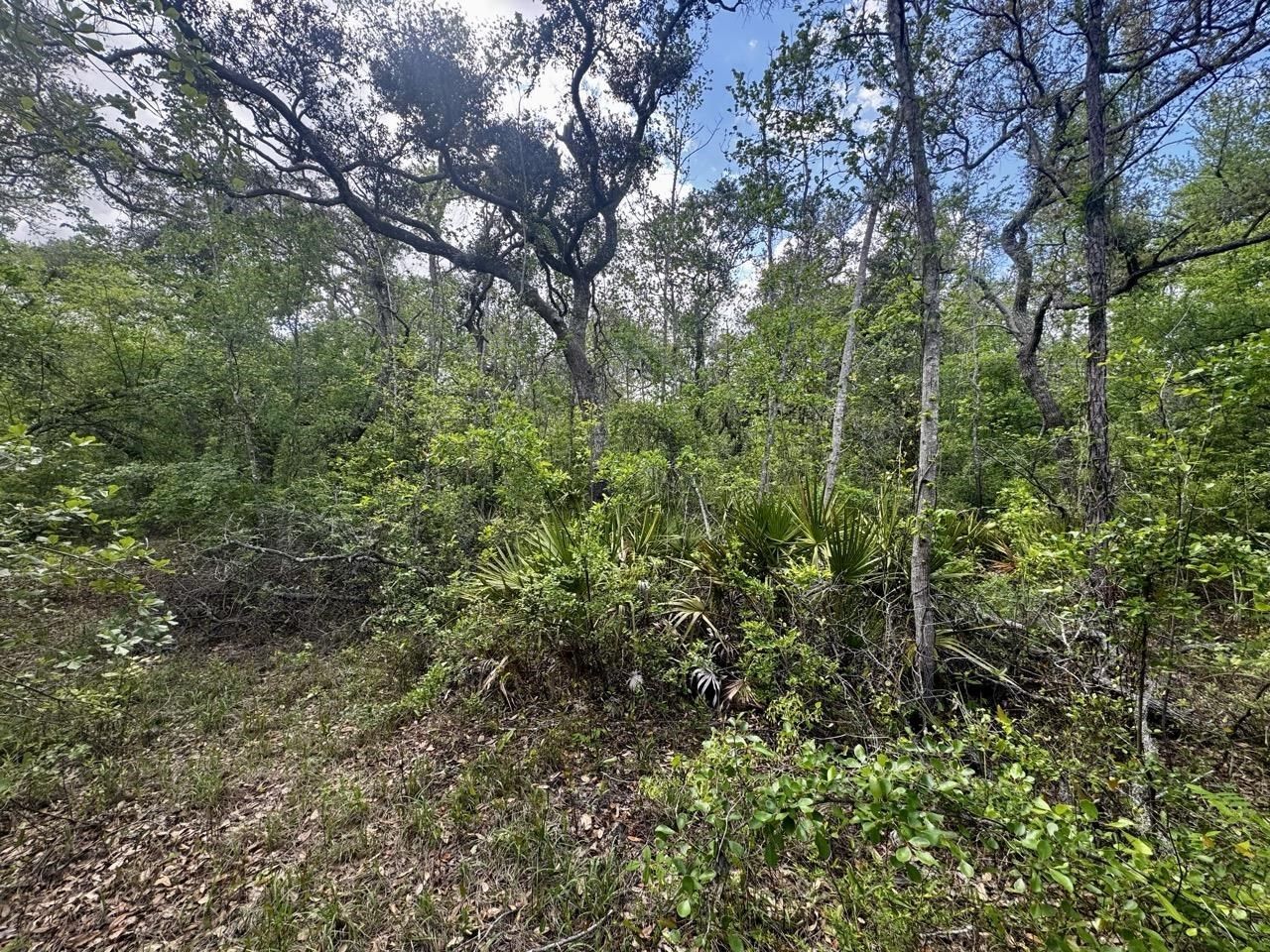 3084 NE Chervil Drive , Lee, FL 32059 Photo