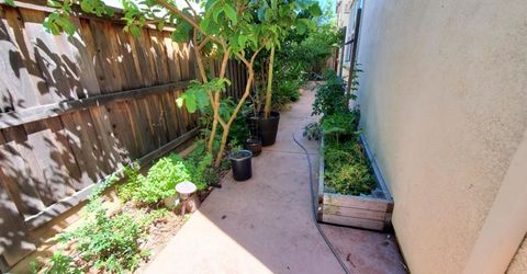 909 Blossom Rock Ln, Folsom, CA 95630 Photo