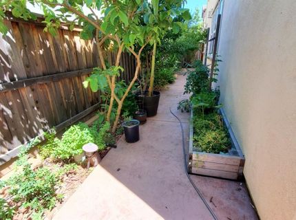 909 Blossom Rock Ln, Folsom, CA 95630 Photo