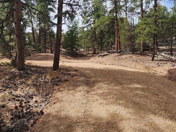 2417 Indian Wells Road , Cotopaxi, CO 81223