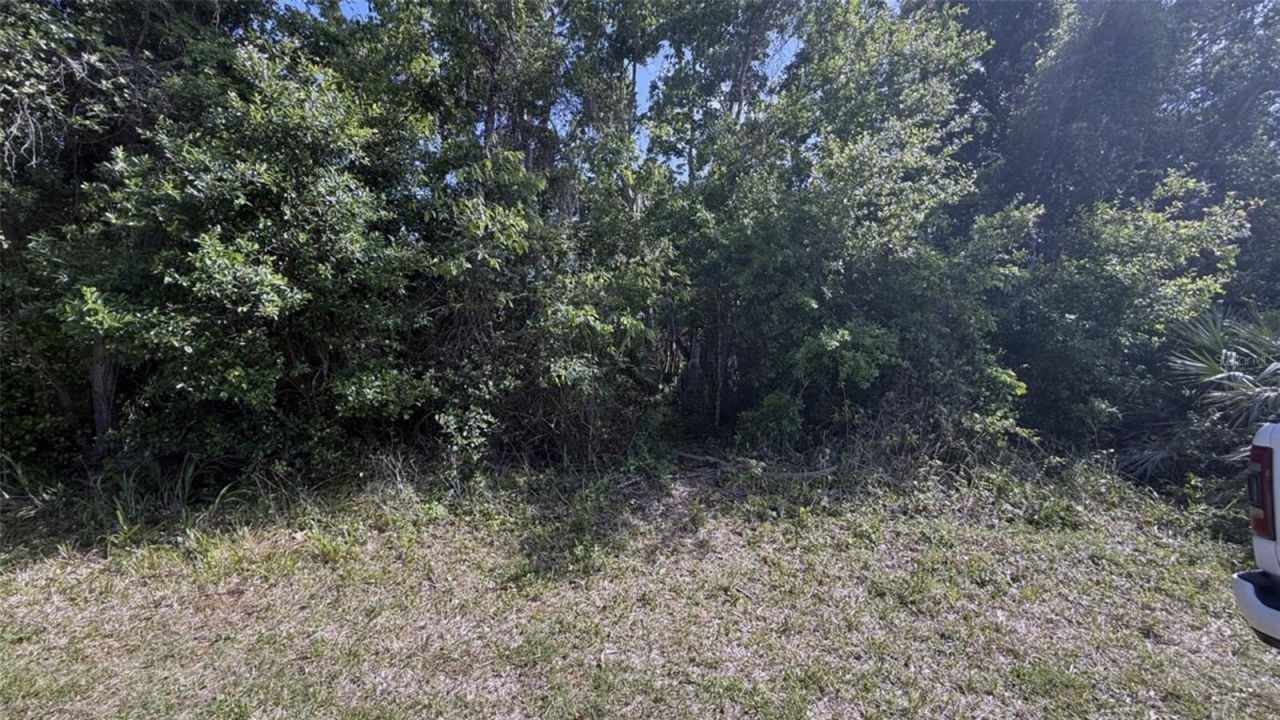 0 Cherry Street, New Smyrna Beach, FL 32168 Photo