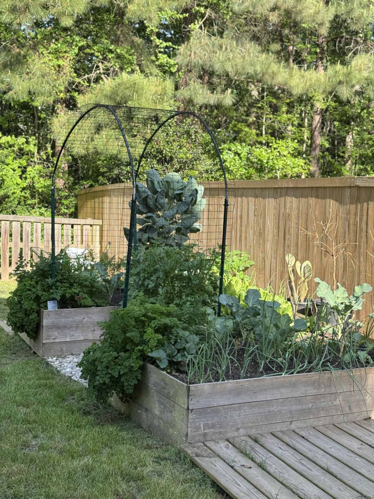 153 Gaslight Boulevard Photo 26