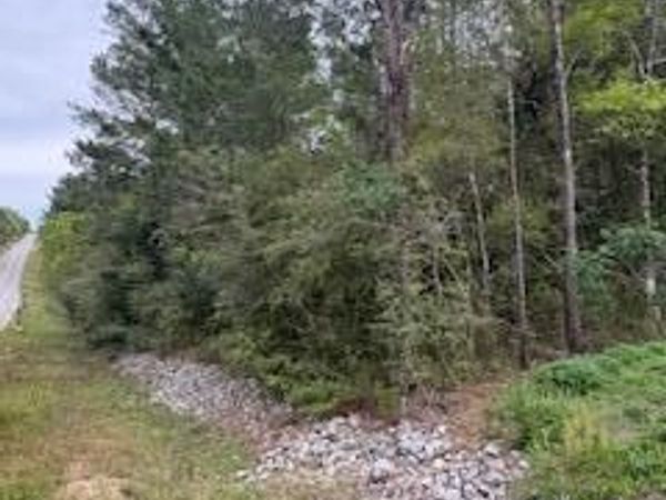 Lot 4 W Violet West, DeFuniak Springs, FL 32433