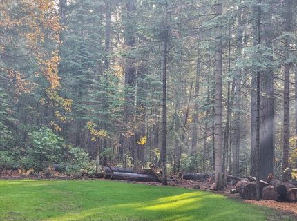 34160 Cable Rd, Alta, CA 95701 Photo
