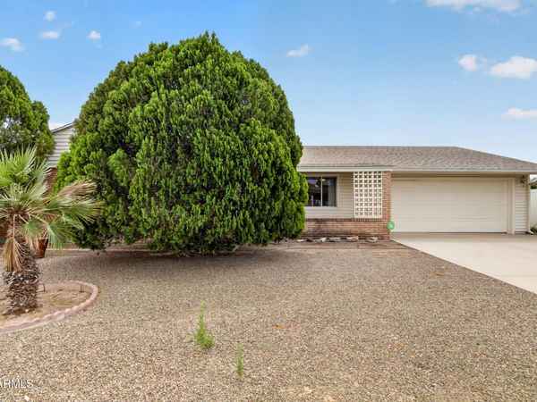 10317 W ANDOVER Avenue, Sun City, AZ 85351