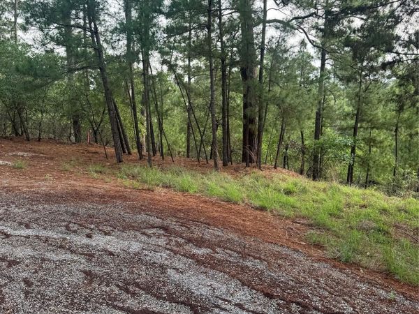 Lot 1492 Haleakala, Bastrop, TX 78602