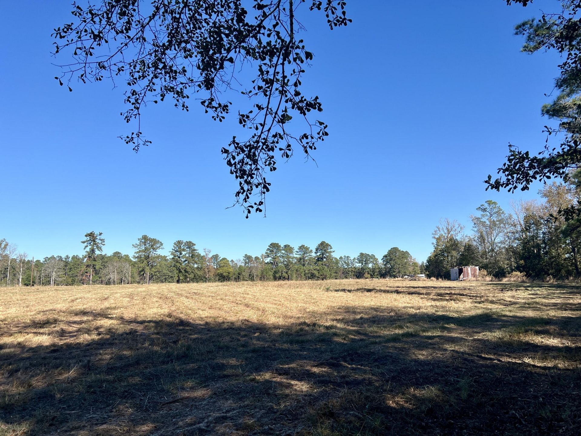 715 Nunuville Road Photo 10