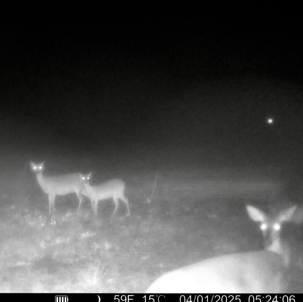 715 Nunuville Road Photo 13