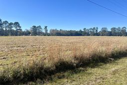 715 Nunuville Road photo 4