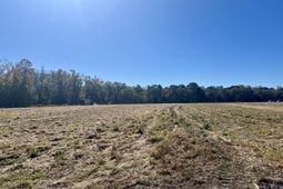 715 Nunuville Road photo 4