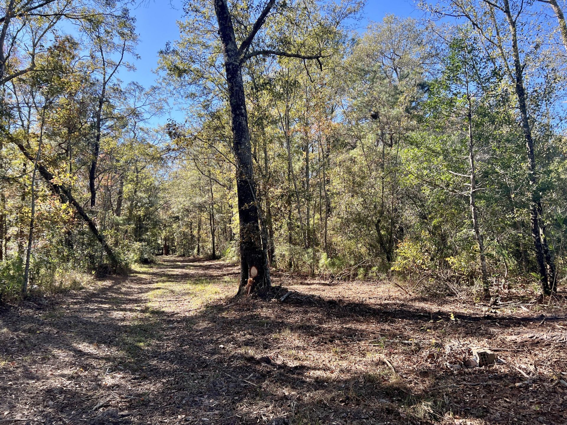 715 Nunuville Road Photo 4