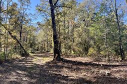 715 Nunuville Road photo 4