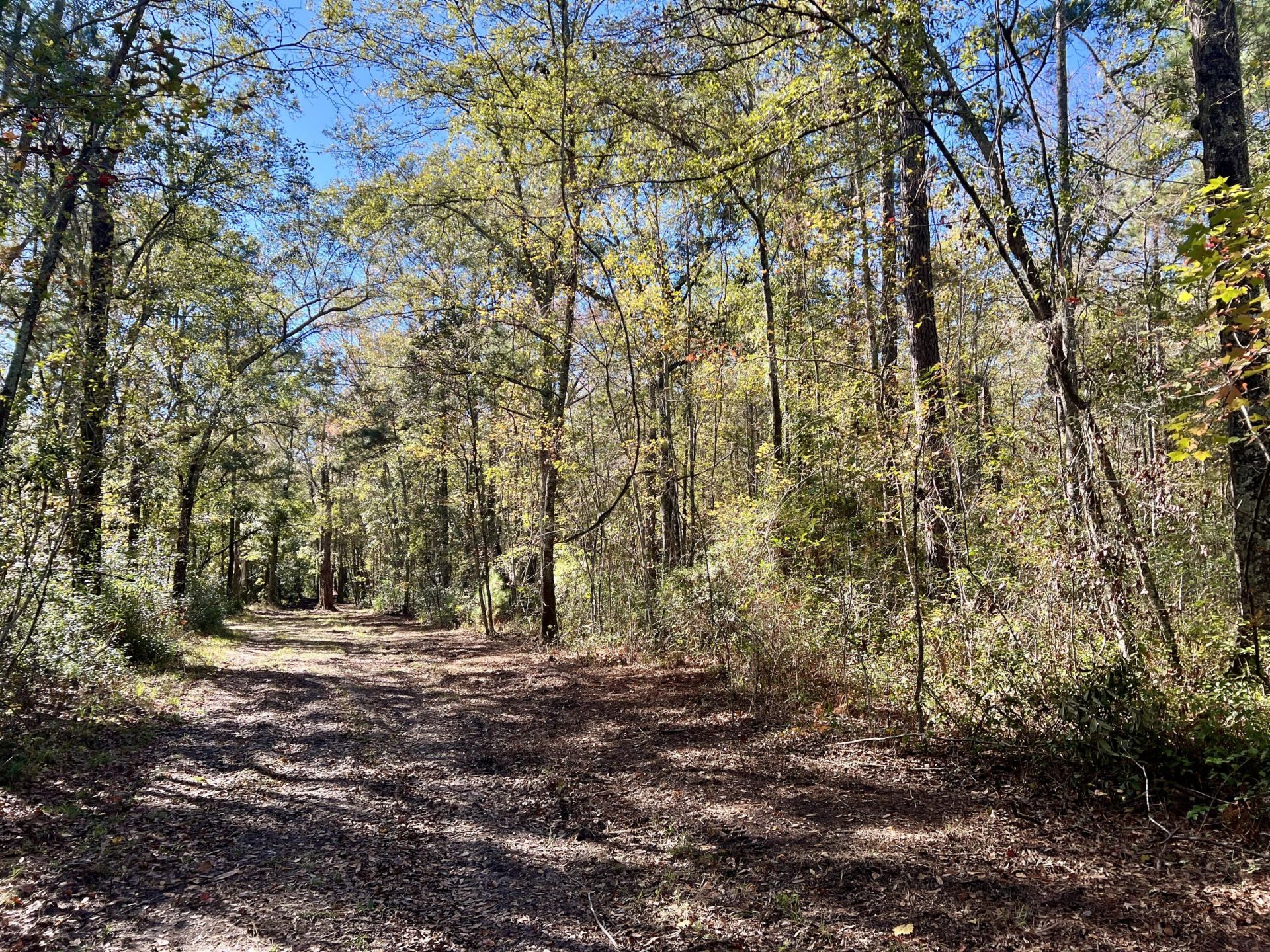 715 Nunuville Road Photo 5