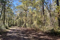 715 Nunuville Road photo 4