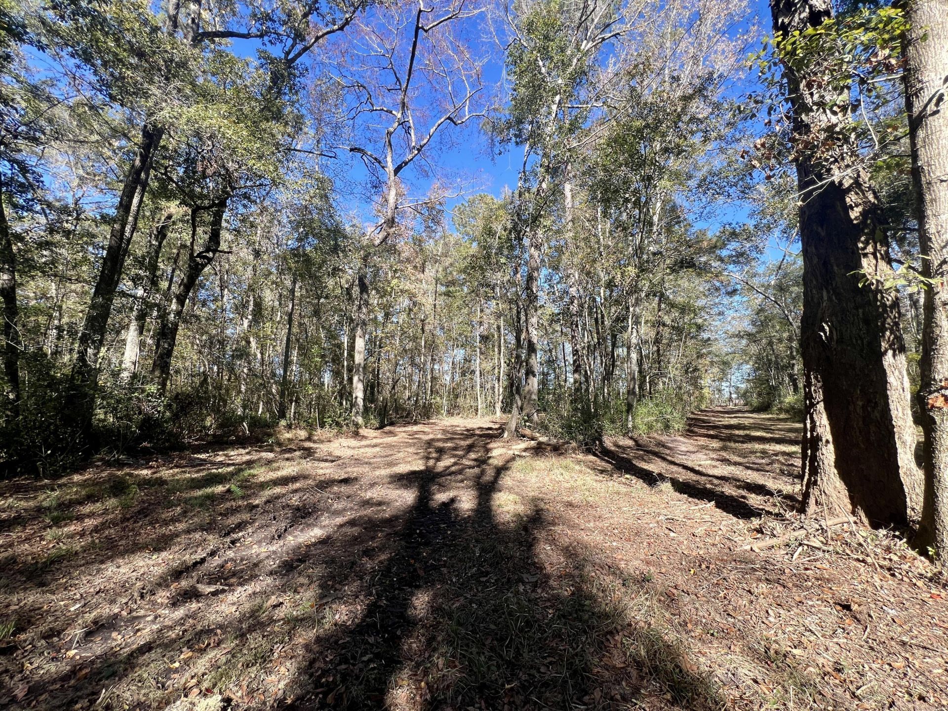 715 Nunuville Road Photo 7