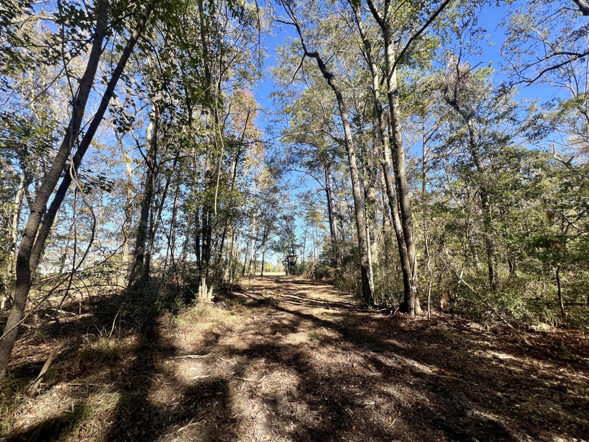 715 Nunuville Road Photo 8