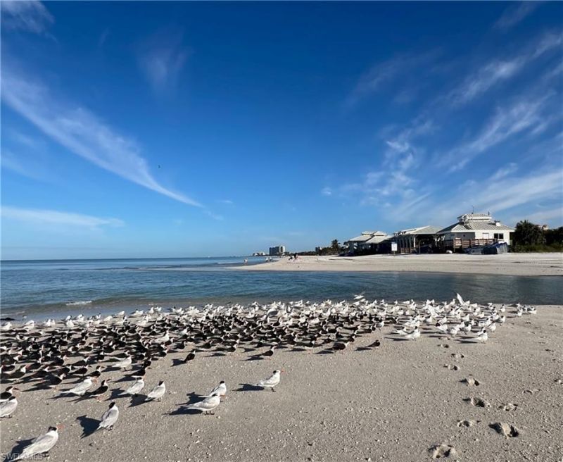 619 Beachwalk Cir, Unit I201, Naples, FL 34108 Photo