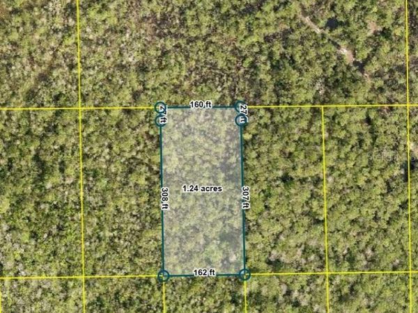 NO STREET , DELAND, FL 32724