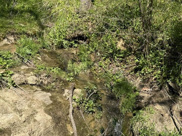 0000 Goshen Valley Road, Church Hill, TN 37642