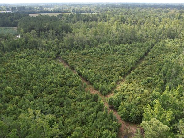 421 Riverneck Road, Columbia, NC 27925