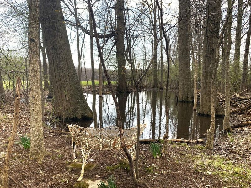 45089 E Hamilton St, Oberlin, OH 44074 Photo 44